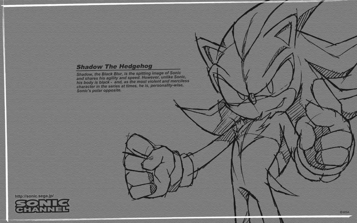 Sonic The Hedgeblog tweet media