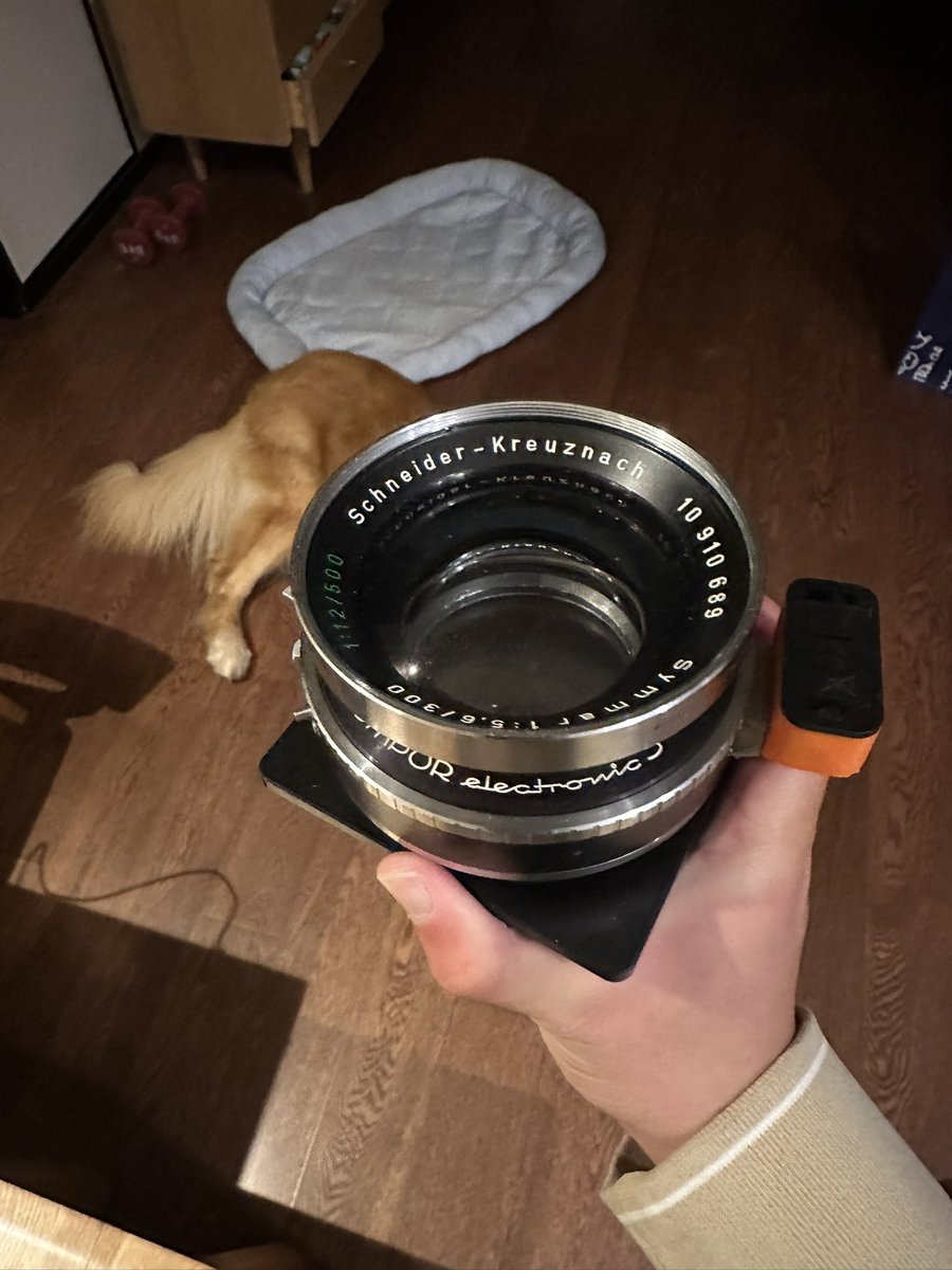 莓有好天气 tweet media