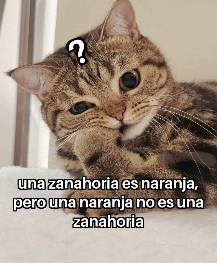 LORE_LOR's tweet photo. #FilosofandoAndo https://t.co/kBUT8ctzj3