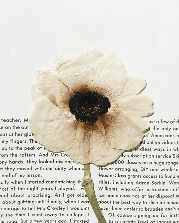 Takūmi, tweet media