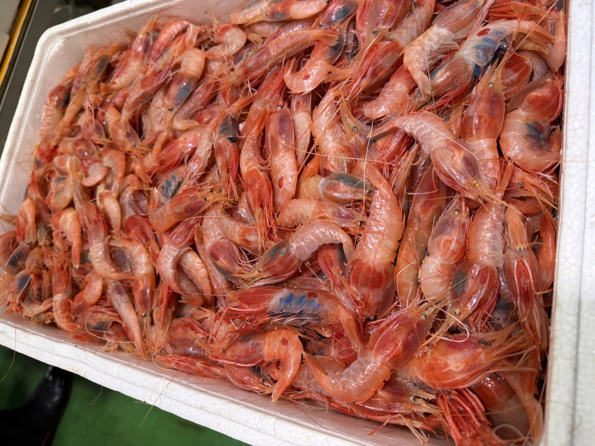 きまぐれクック@かねこ🔪🐡 tweet media