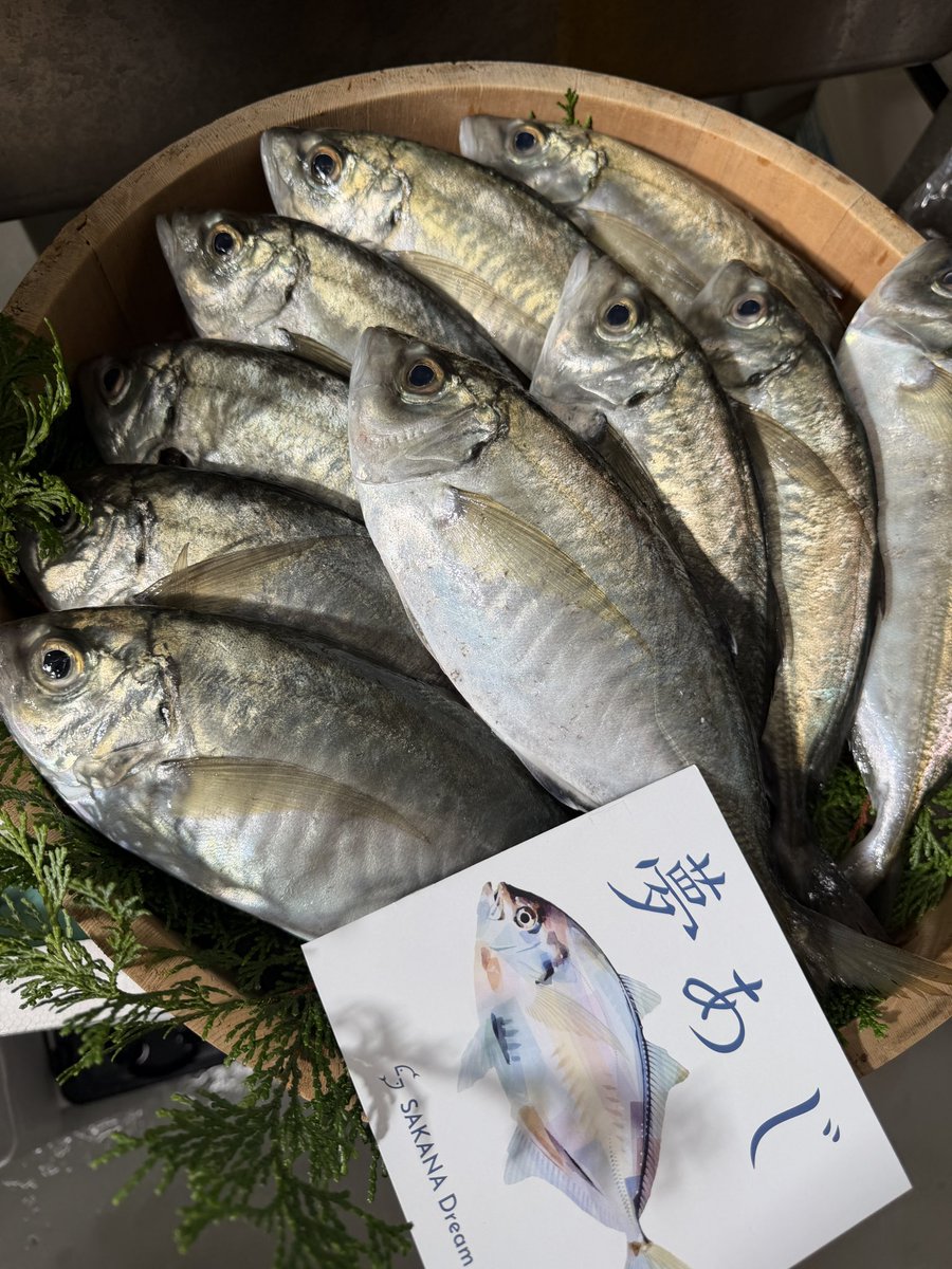 きまぐれクック@かねこ🔪🐡 tweet media