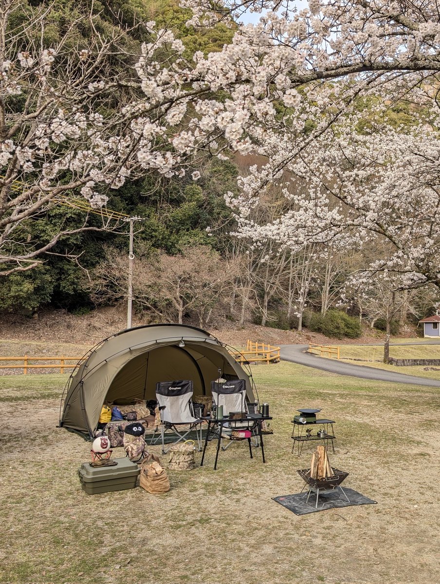 Uniform0001's tweet photo. みんな違ってみんないい🏕️

#自慢のテントを晒す見た人も晒す https://t.co/PZCWjHU45m