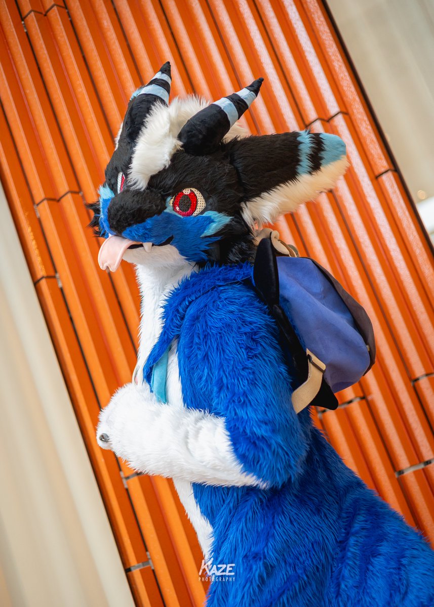 EINA 🔜 🇹🇼+🇯🇵 tweet media