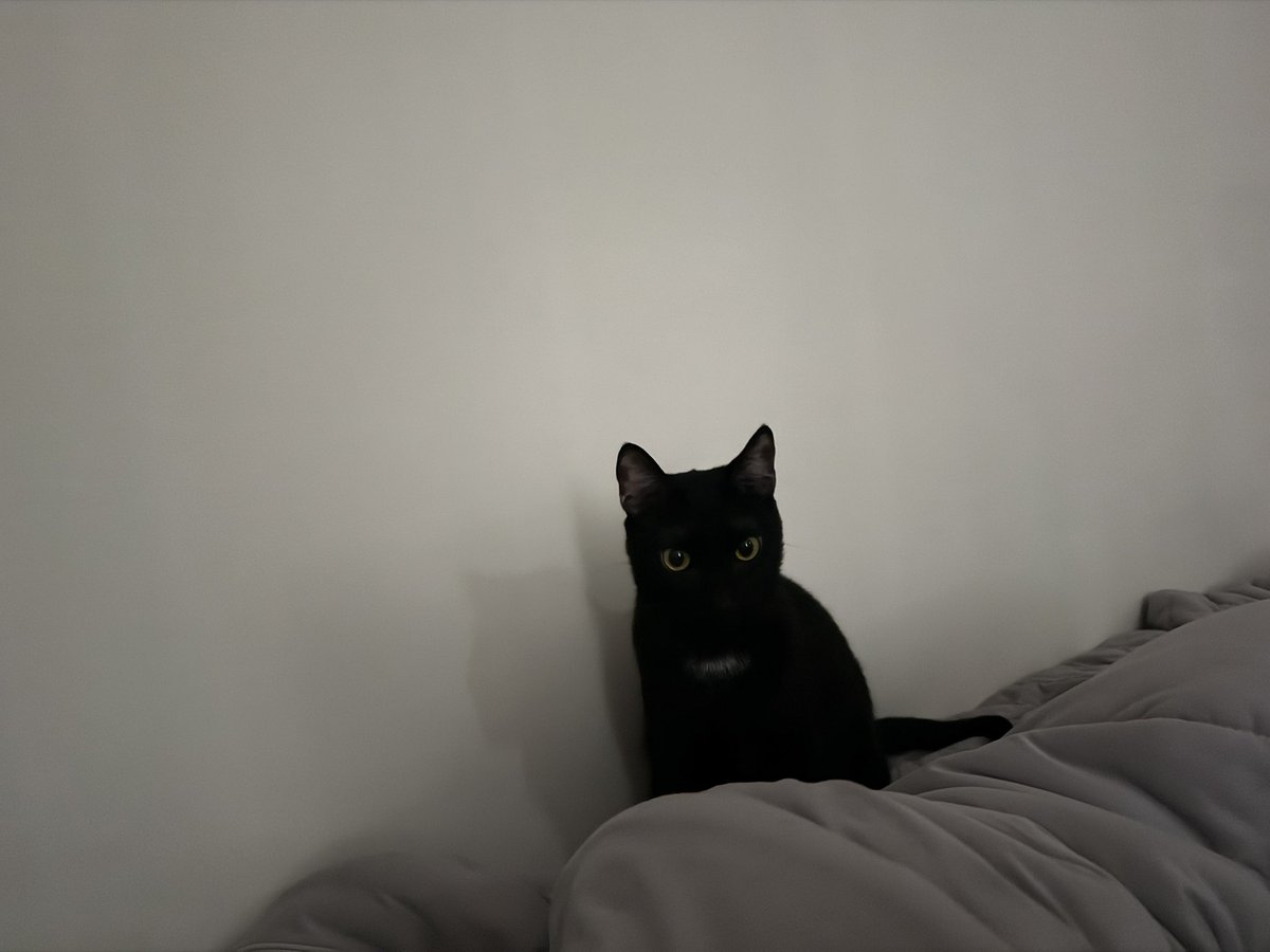 早上起來看到小寶寶坐在旁邊
小小一隻的 (((o(*ﾟ▽ﾟ*)o)))

看了就好有動力，等等還跑步🏃