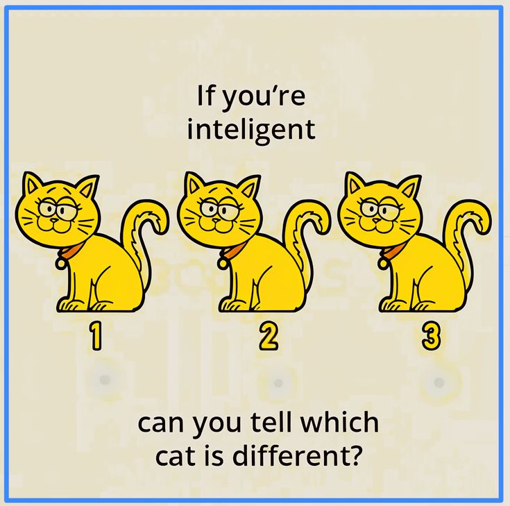 Quick brain test

Two of these cats are identical.

One is different.

Can you find it?