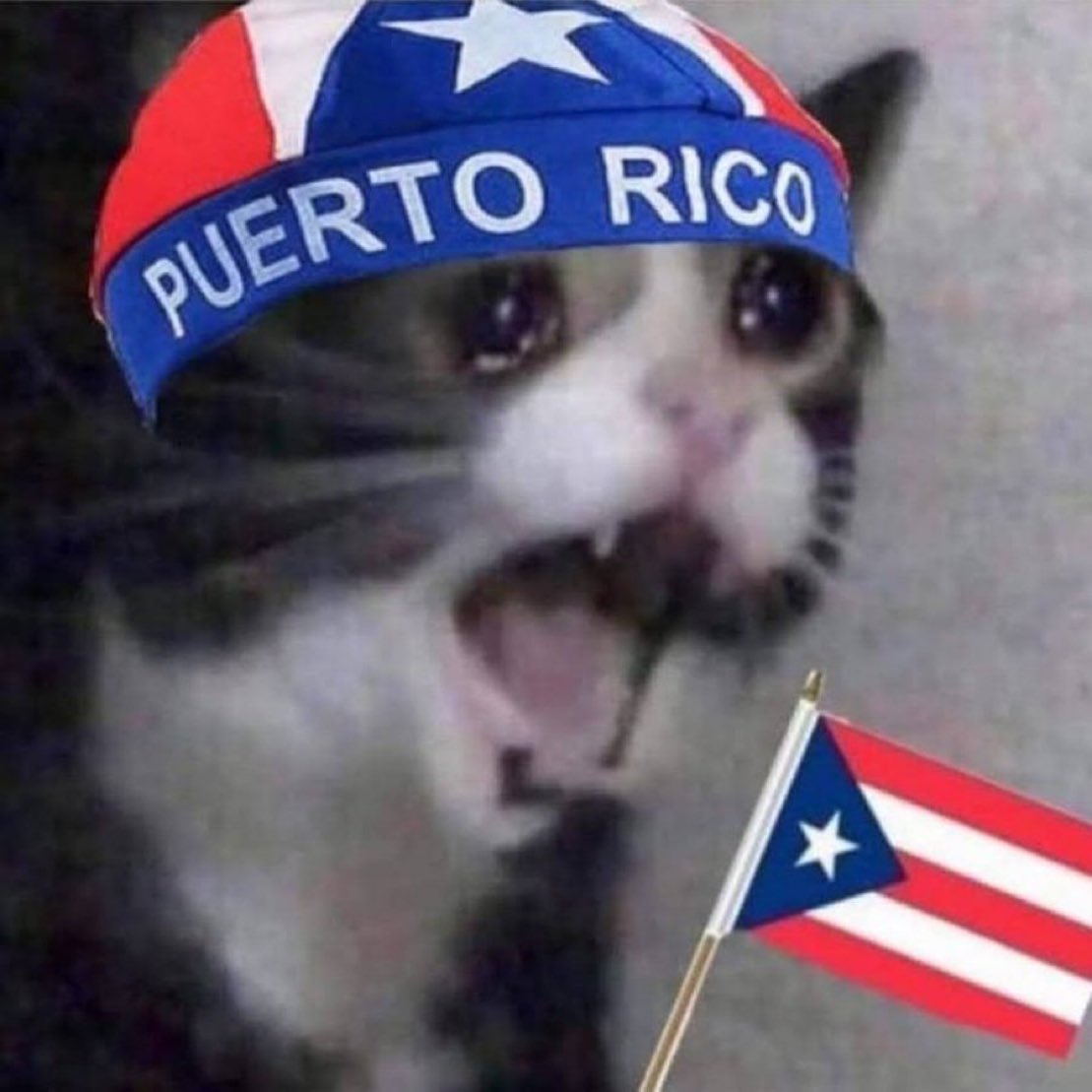 sports live tweeter yadira tweet media