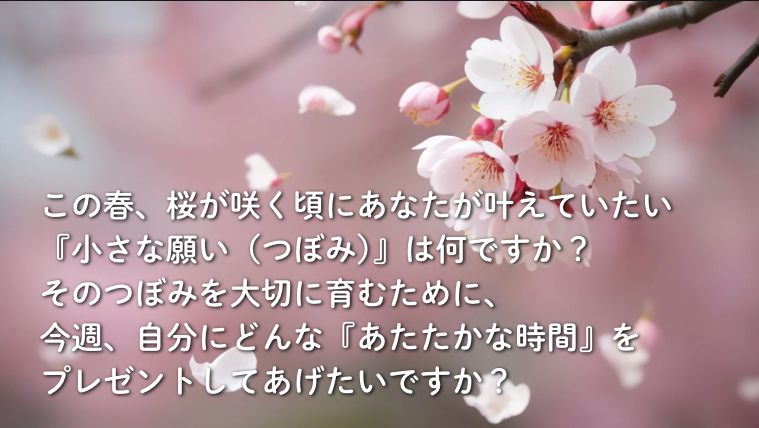 Life Passport Lab.｜人生を手帳で明るくする人 tweet media