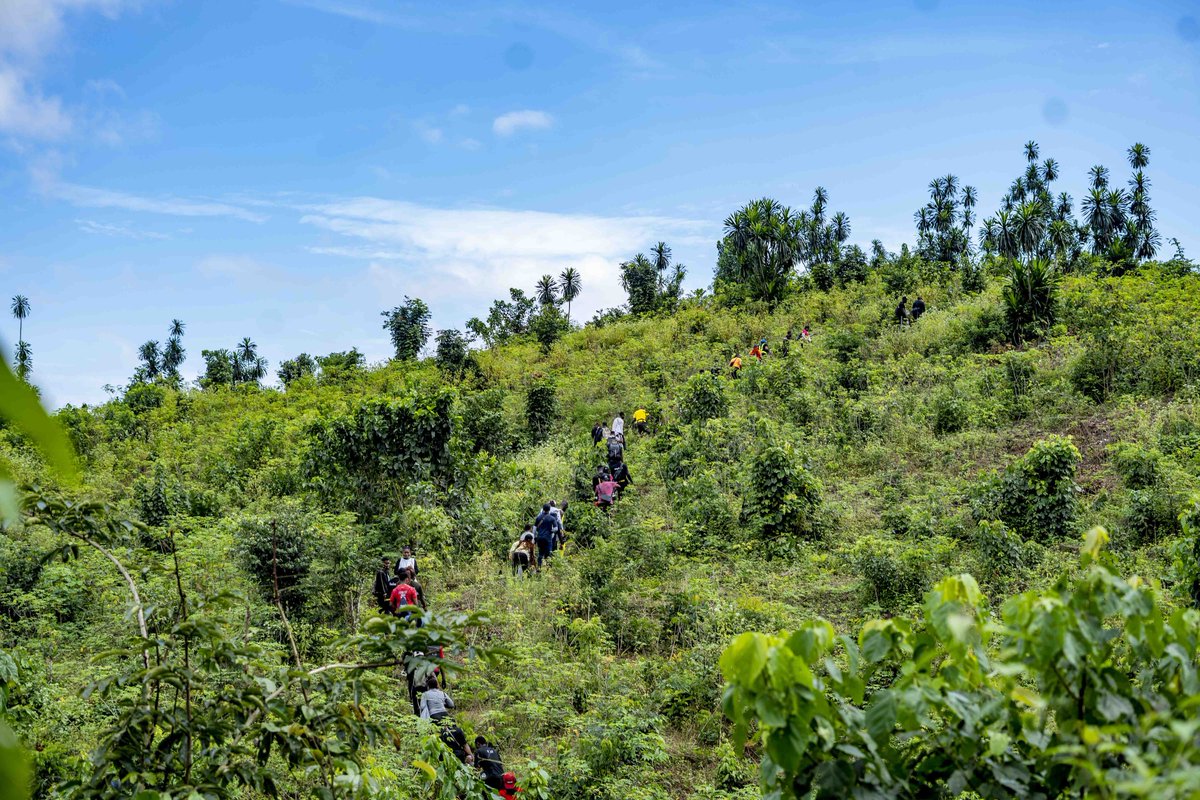 The Hill Trekkers Club 🥾 tweet media