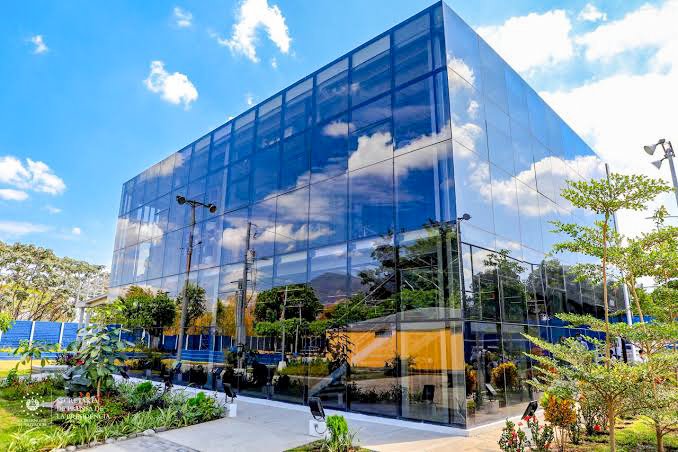 Lucho Molina Arles tweet media