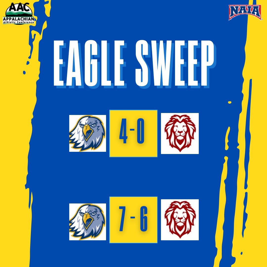 Reinhardt Softball tweet media