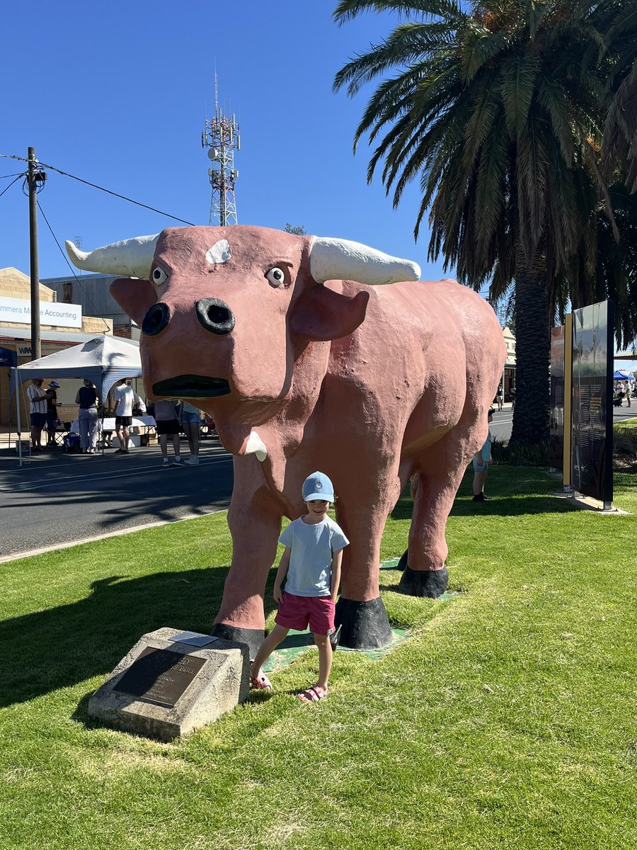 Tom Rymill tweet media