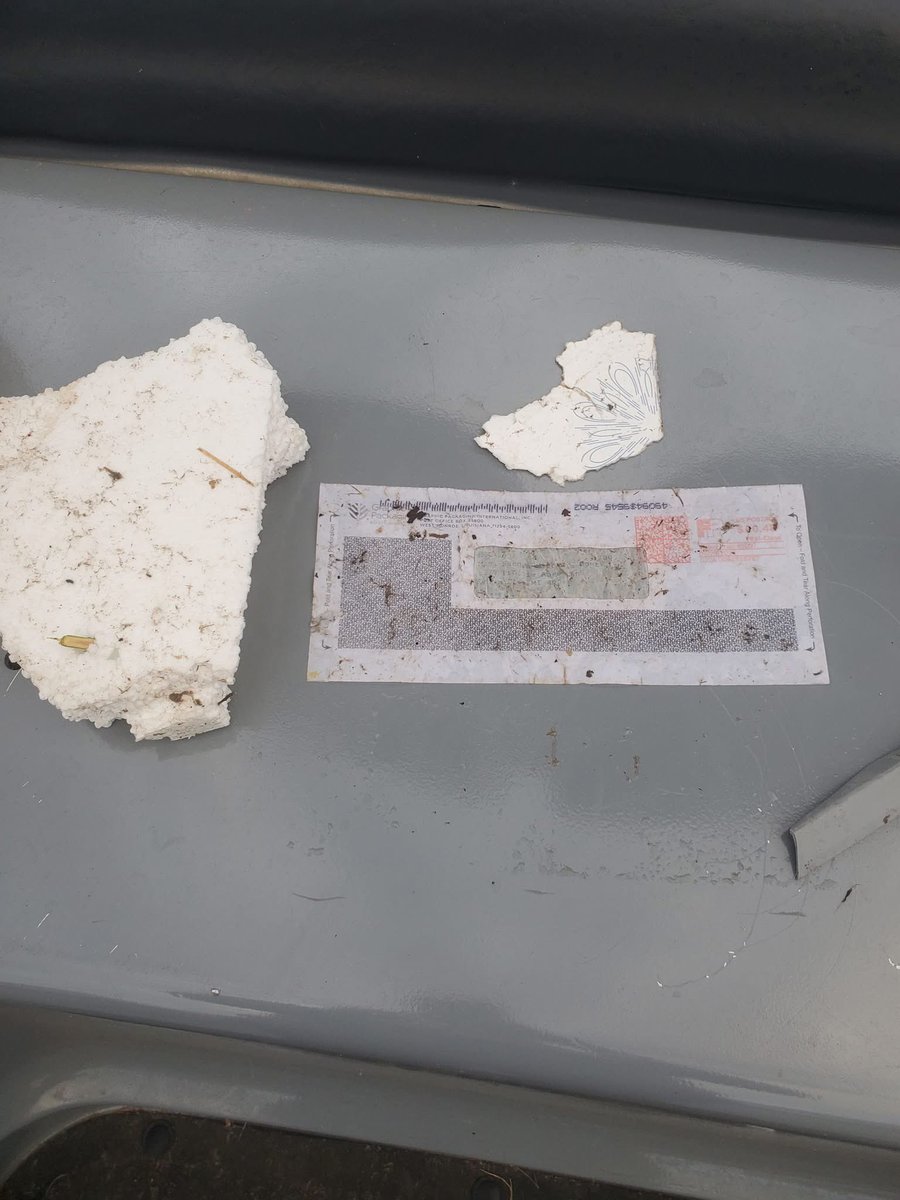 Scott 🇺🇸 tweet media