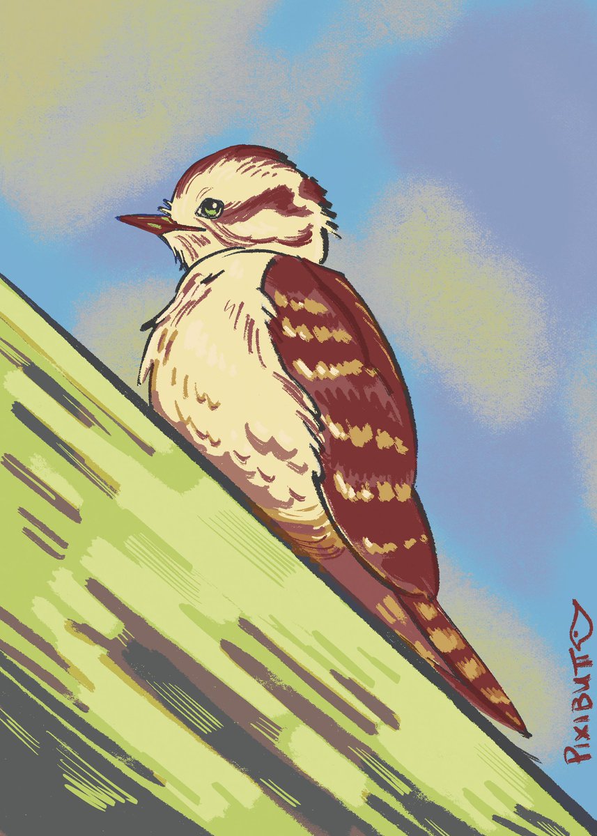 lil quick downy woodpecker
