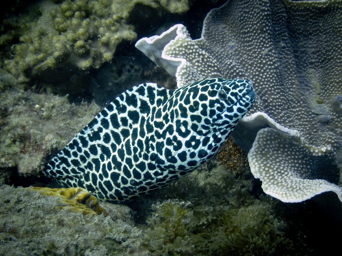 Warren Prior tweet media