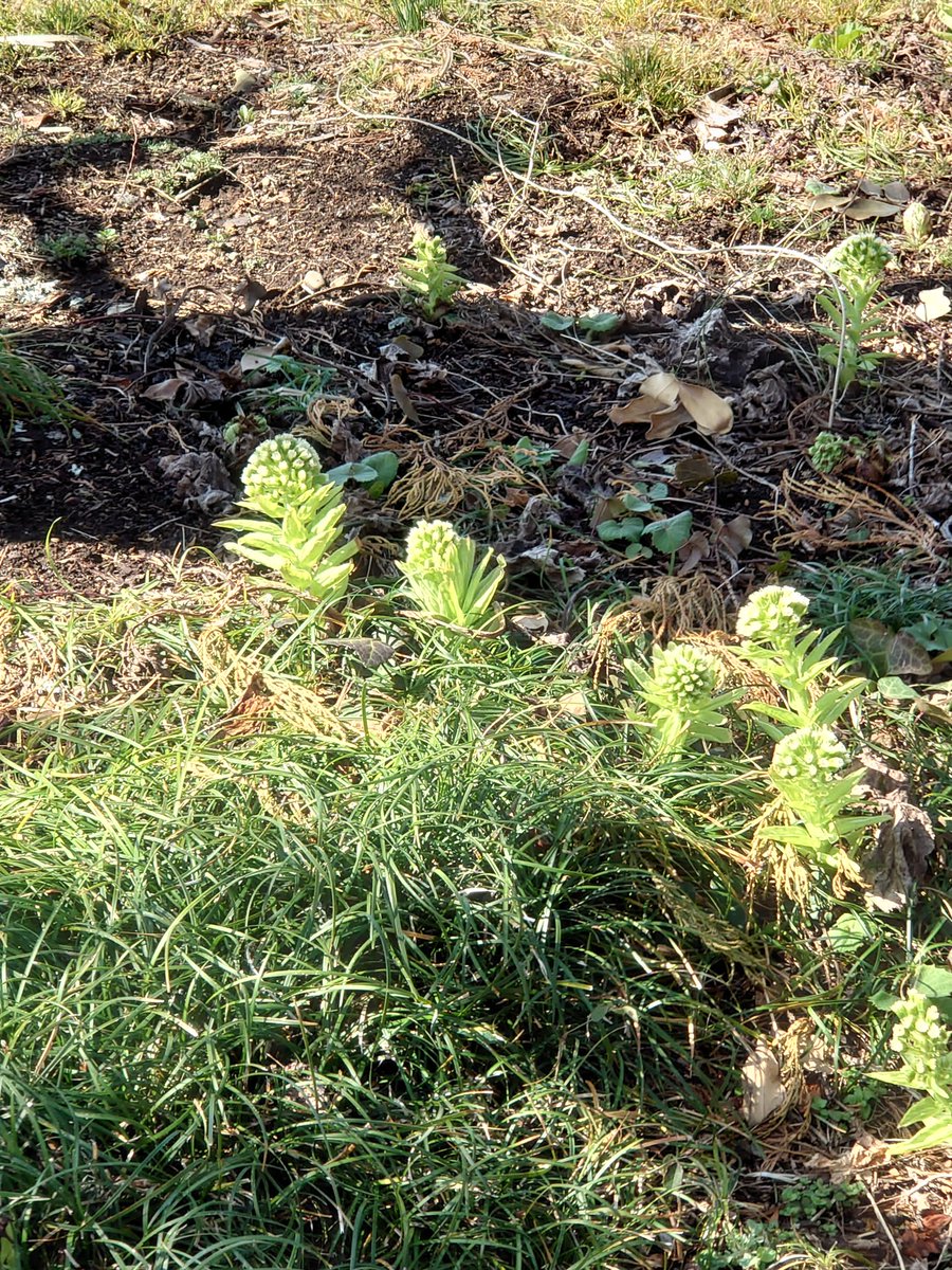 某Ａ嬢~誇大妄想狂~ tweet media