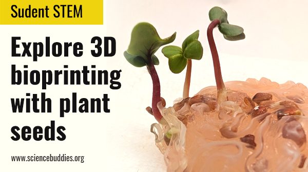 Science Buddies tweet media