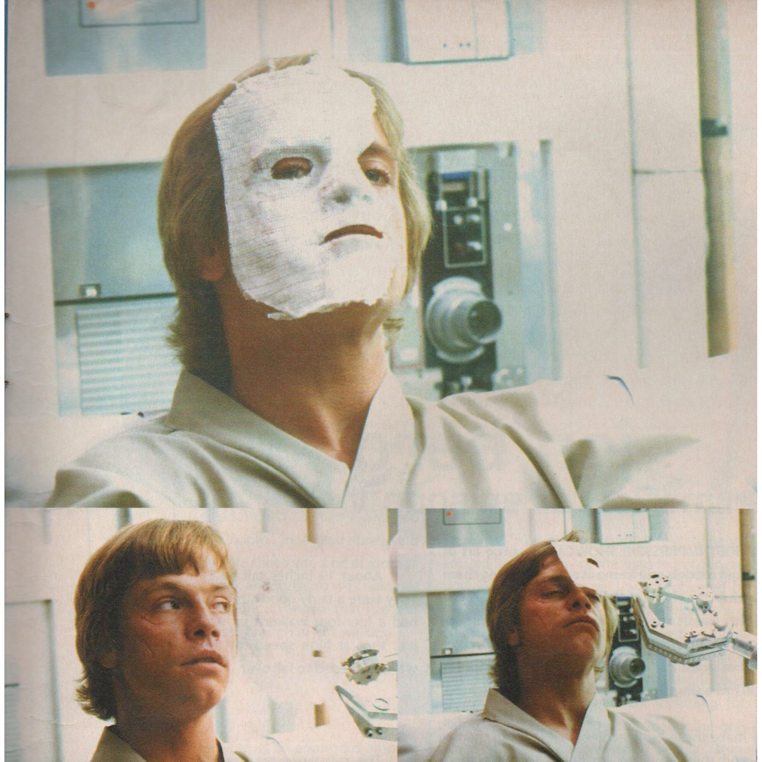 TheNext17 tweet media