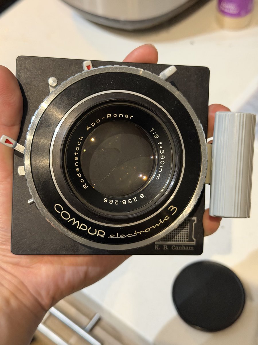 Renga 煉瓦 tweet media