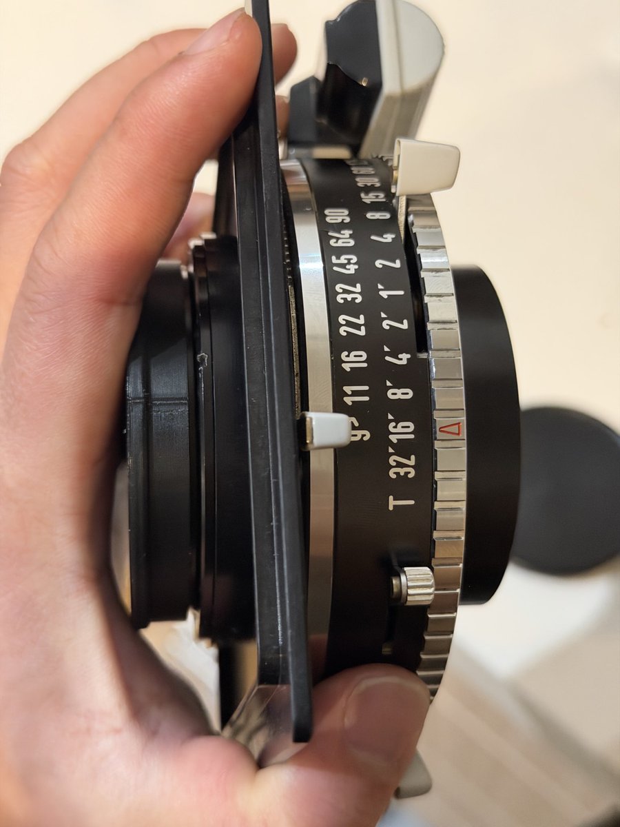 Renga 煉瓦 tweet media