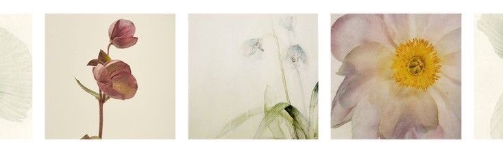 evildoer tweet media