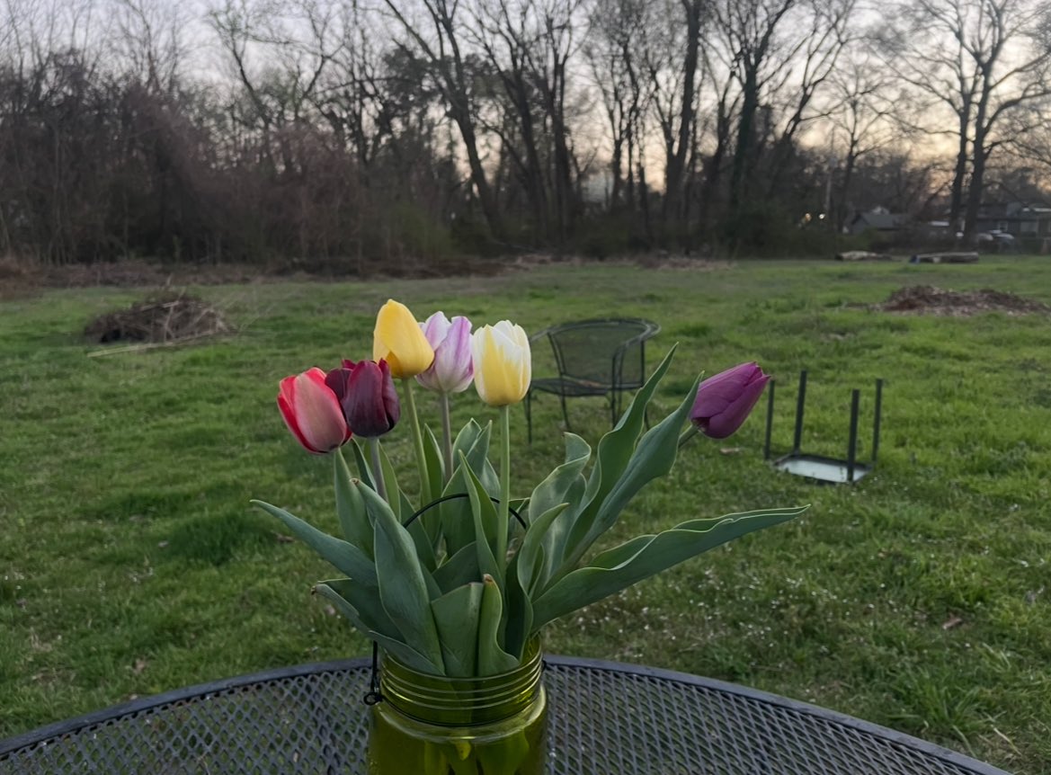 Laura D. Testino 〽️ tweet media