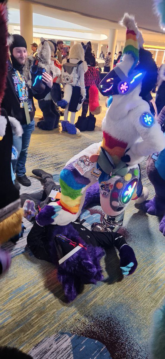 Tuna 🔜 FWA tweet media