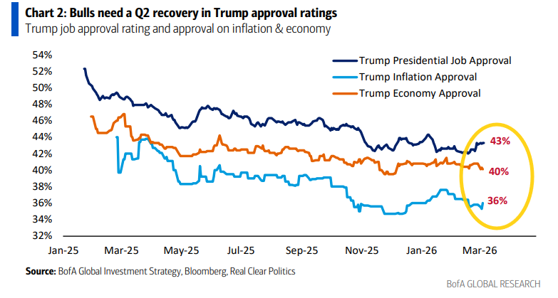 THE SHORT BEAR tweet media
