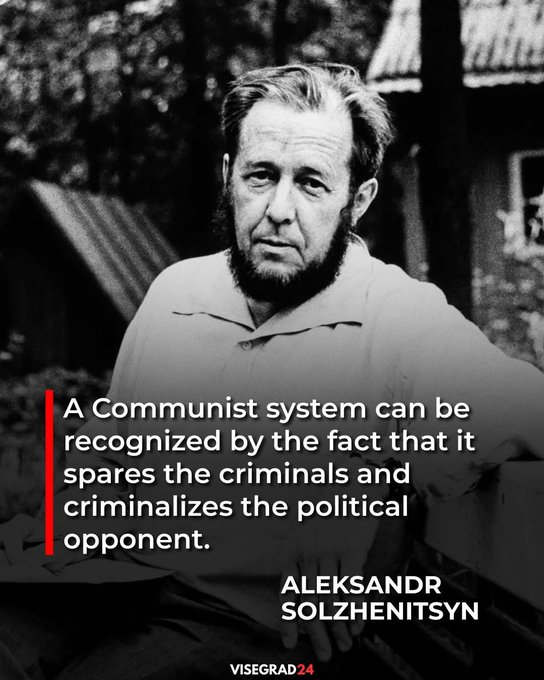 Red Pill Atlantico tweet media