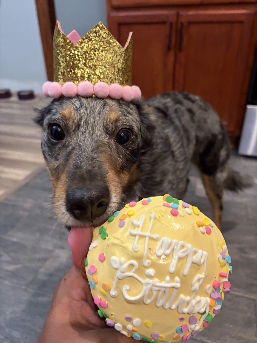 TheStevie_Jay's tweet photo. Happy birthday Gamora ! https://t.co/56GXMiBKOY