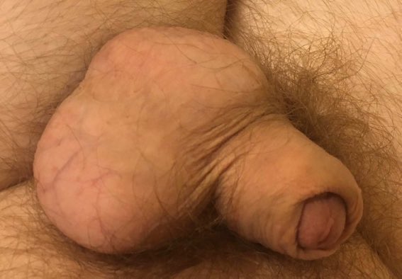 BiIndianaGuy's tweet photo. @BBearcouple @dadddy671951 https://t.co/OltaBvEqE5