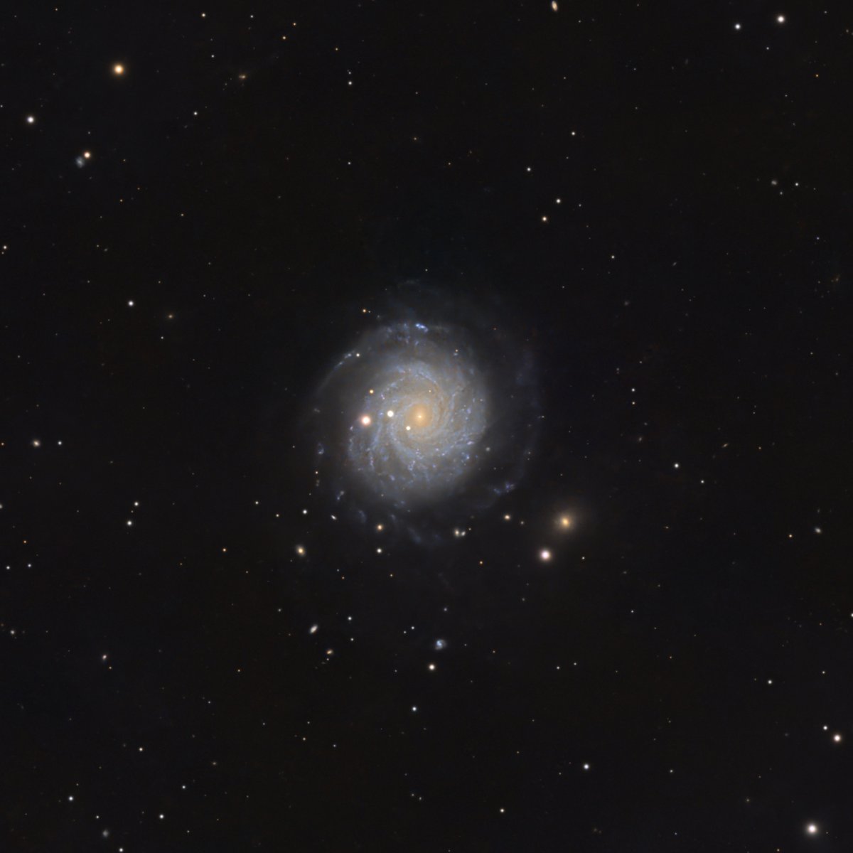 つくね (@0317tukune) / Posts / X