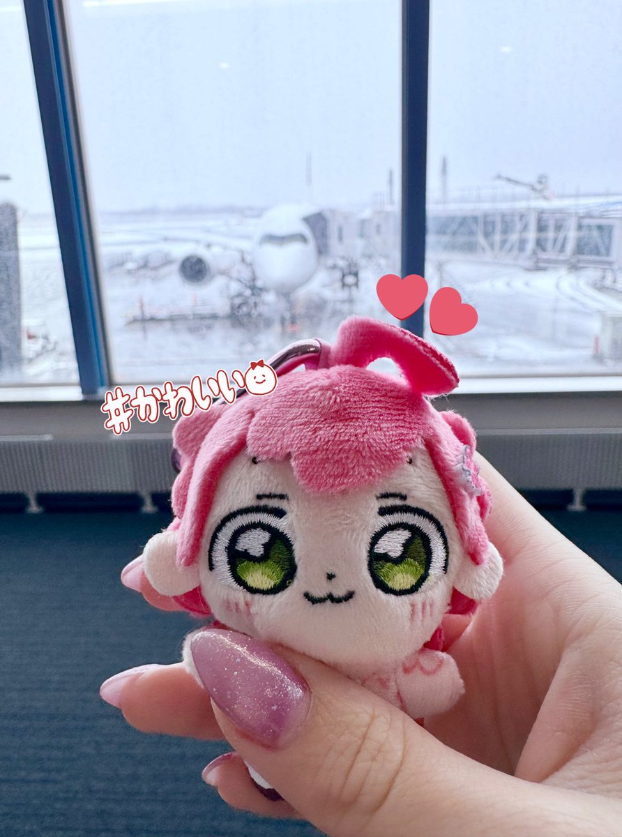 しほにゃ🐾🎀 tweet media