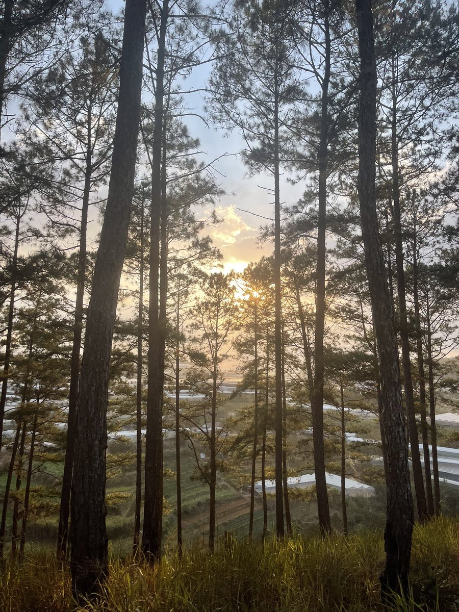 EmbeTít tweet media