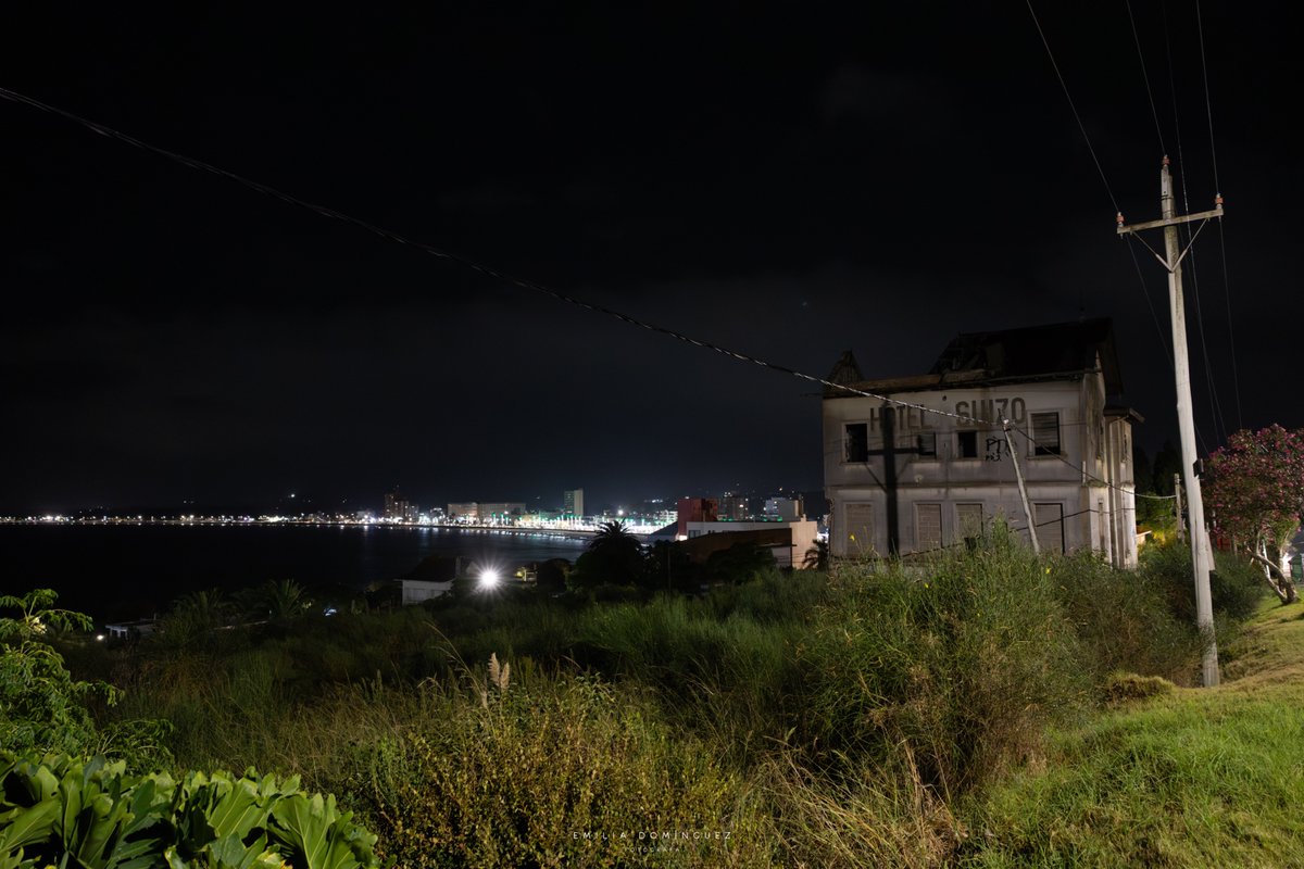 Emilia Domínguez tweet media