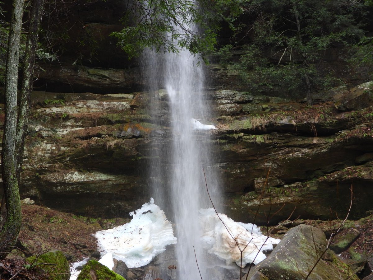 teresaholmes351's tweet image. I am so embarrassed to admit this but it took me 65 years to appreciate the high you can get from nature. Share your nature high. #NatureLovers #fallfriday