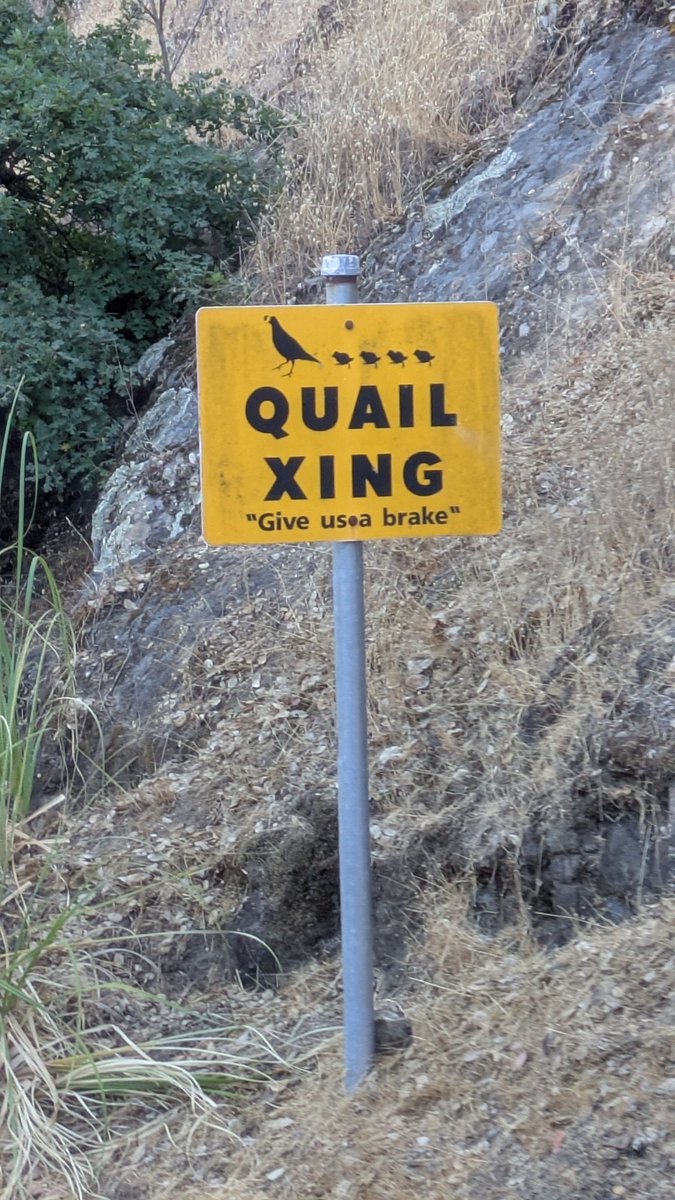 capt unfollow urazz tweet media