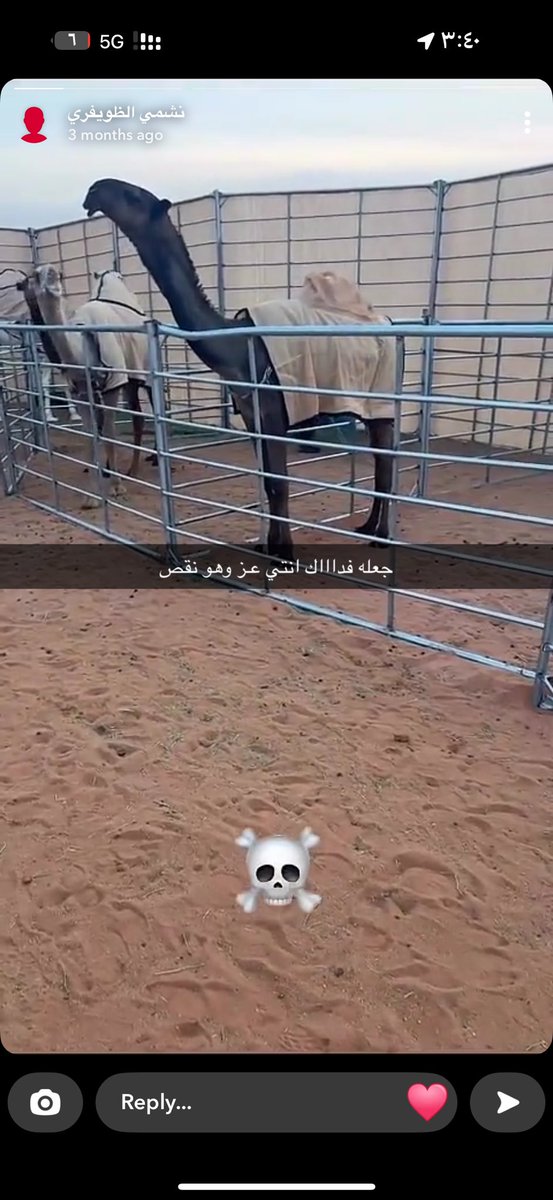 قرم العبادل tweet media