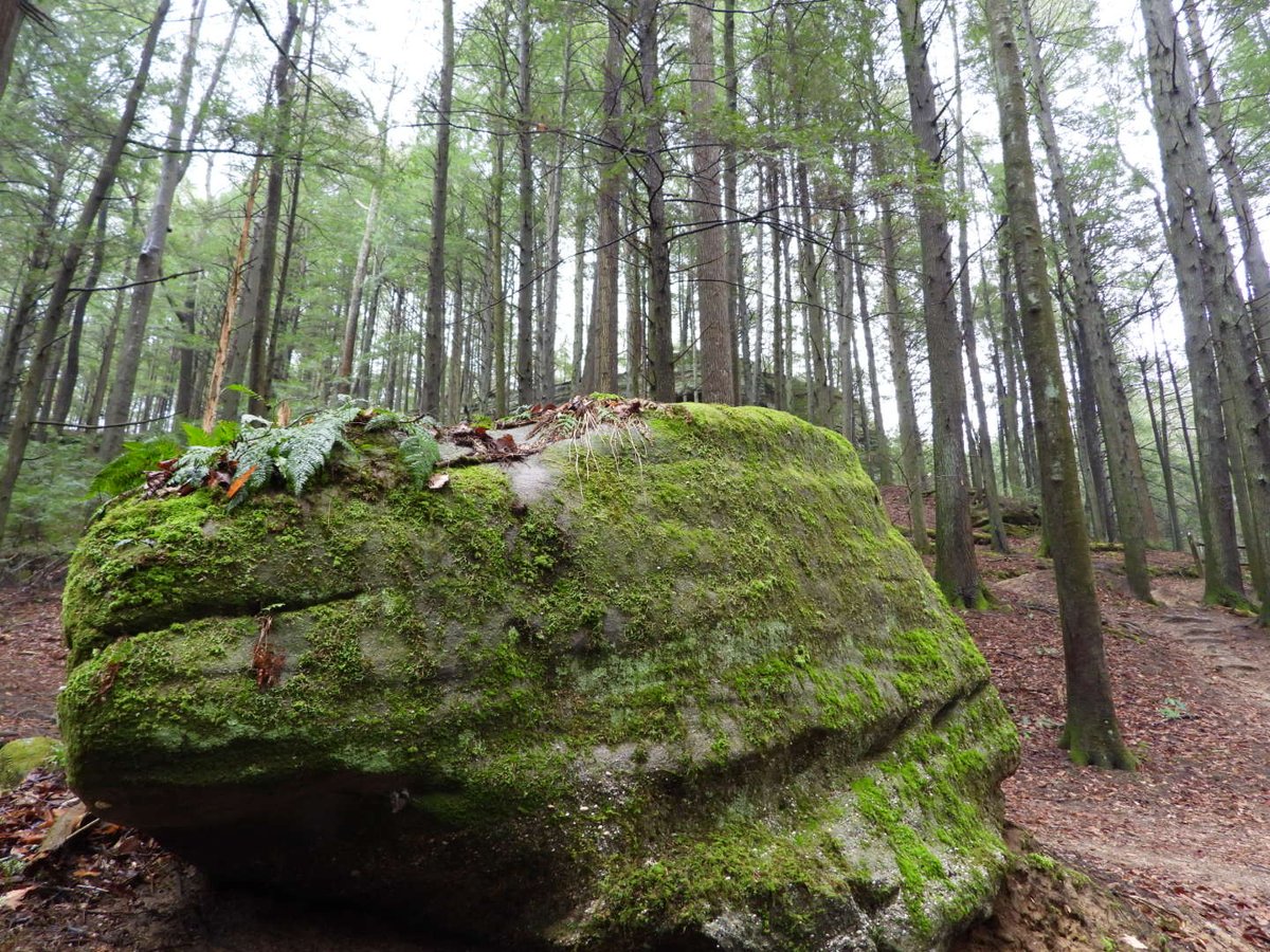 teresaholmes351's tweet image. I am so embarrassed to admit this but it took me 65 years to appreciate the high you can get from nature. Share your nature high. #NatureLovers #fallfriday