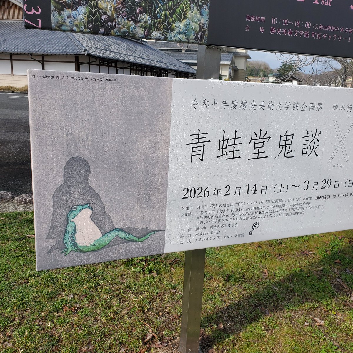 蛙旅団 tweet media