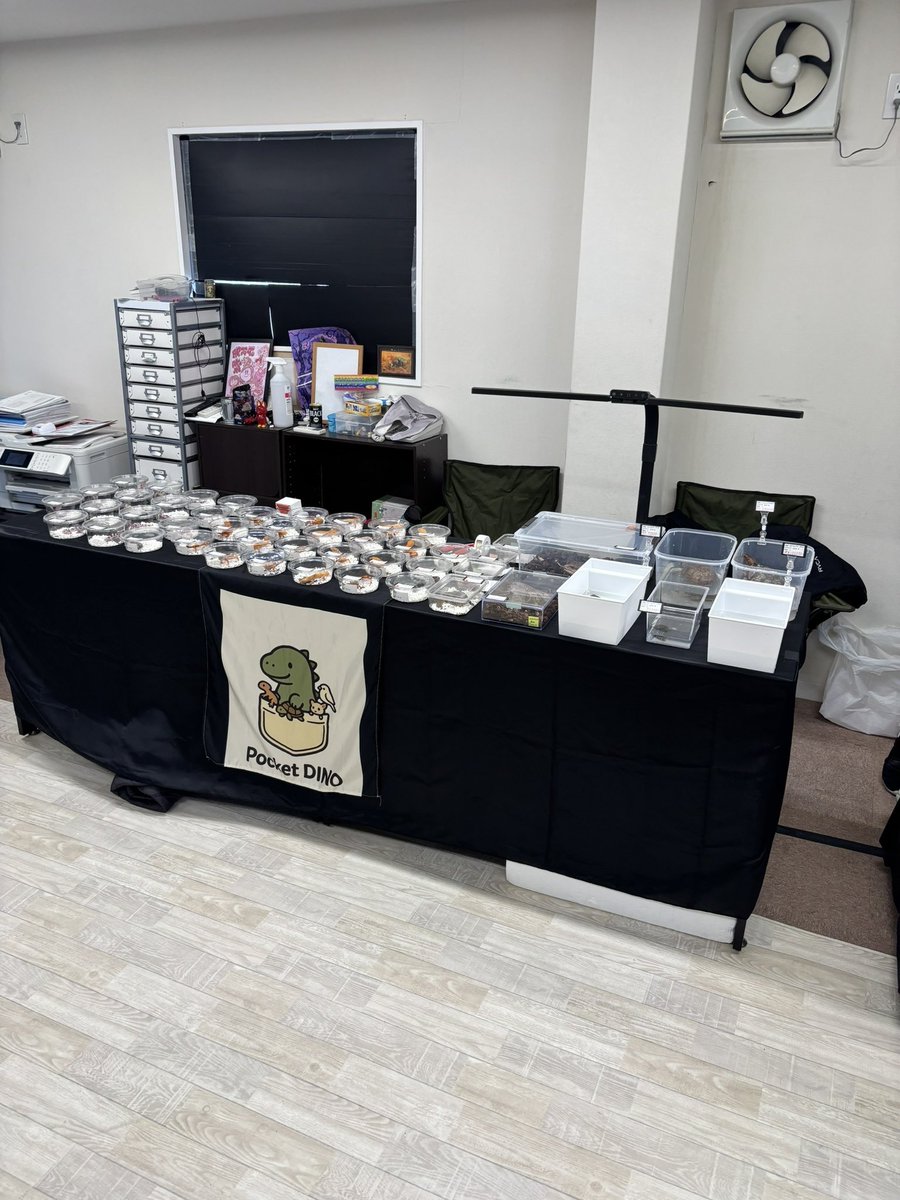 GUNGNIR ANIMALS tweet media