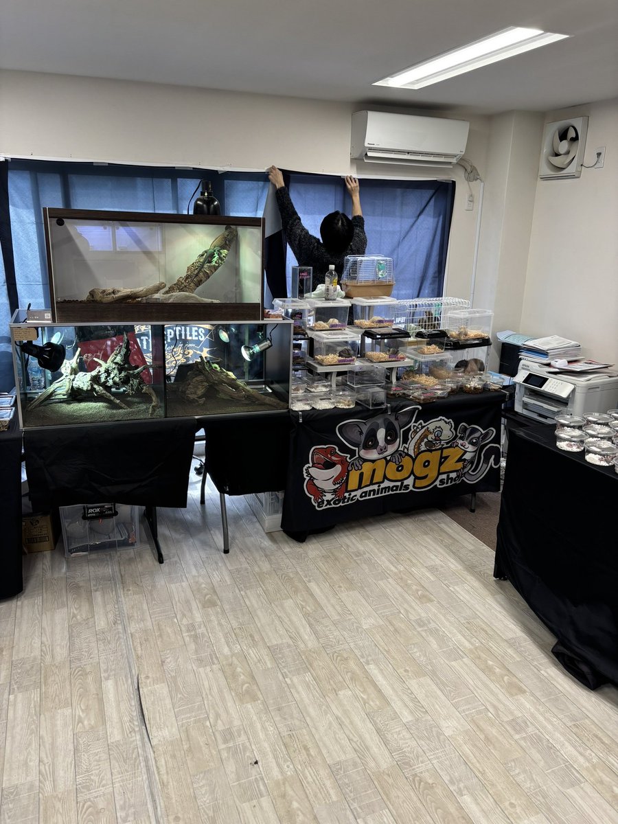 GUNGNIR ANIMALS tweet media