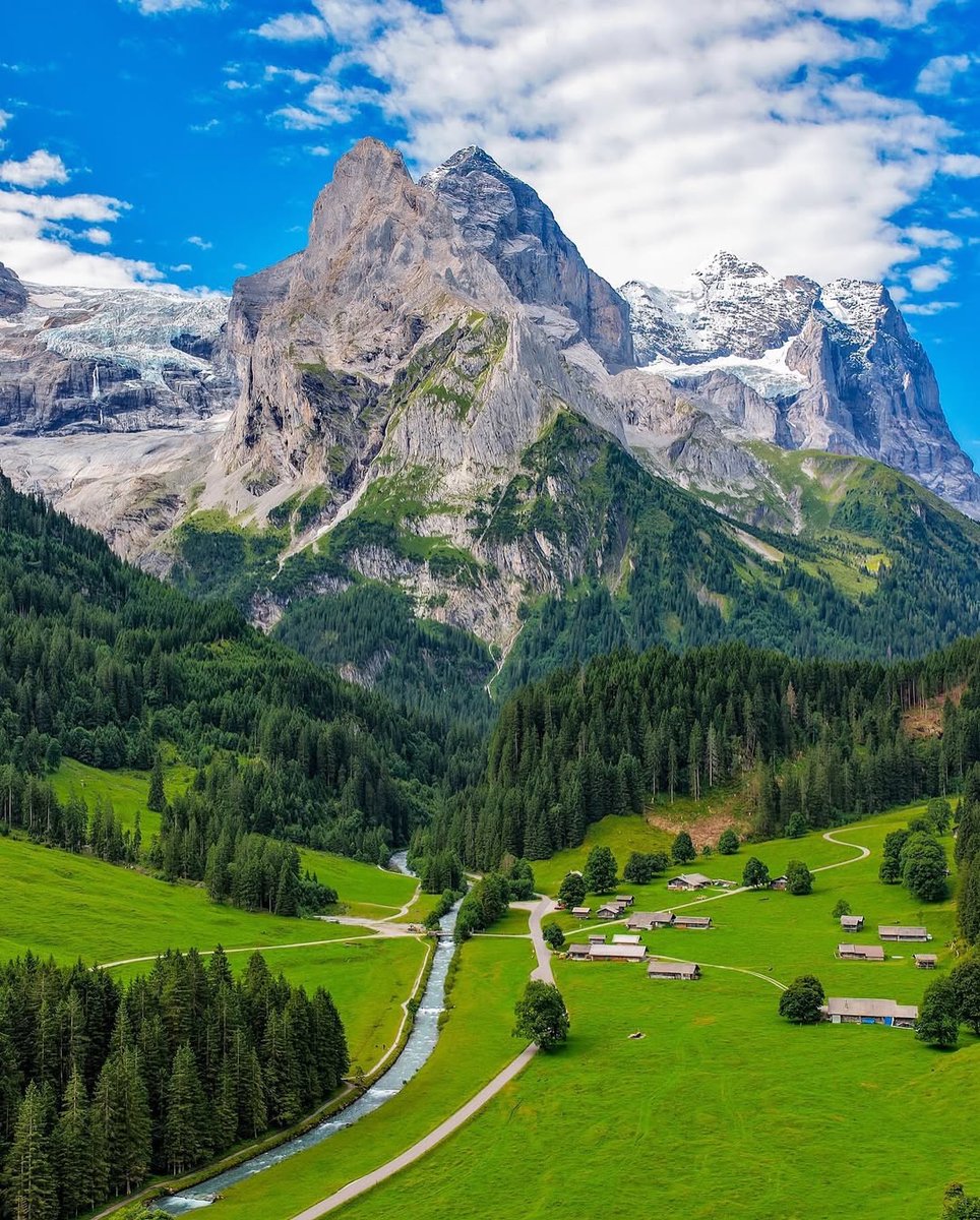 Purely Green tweet media