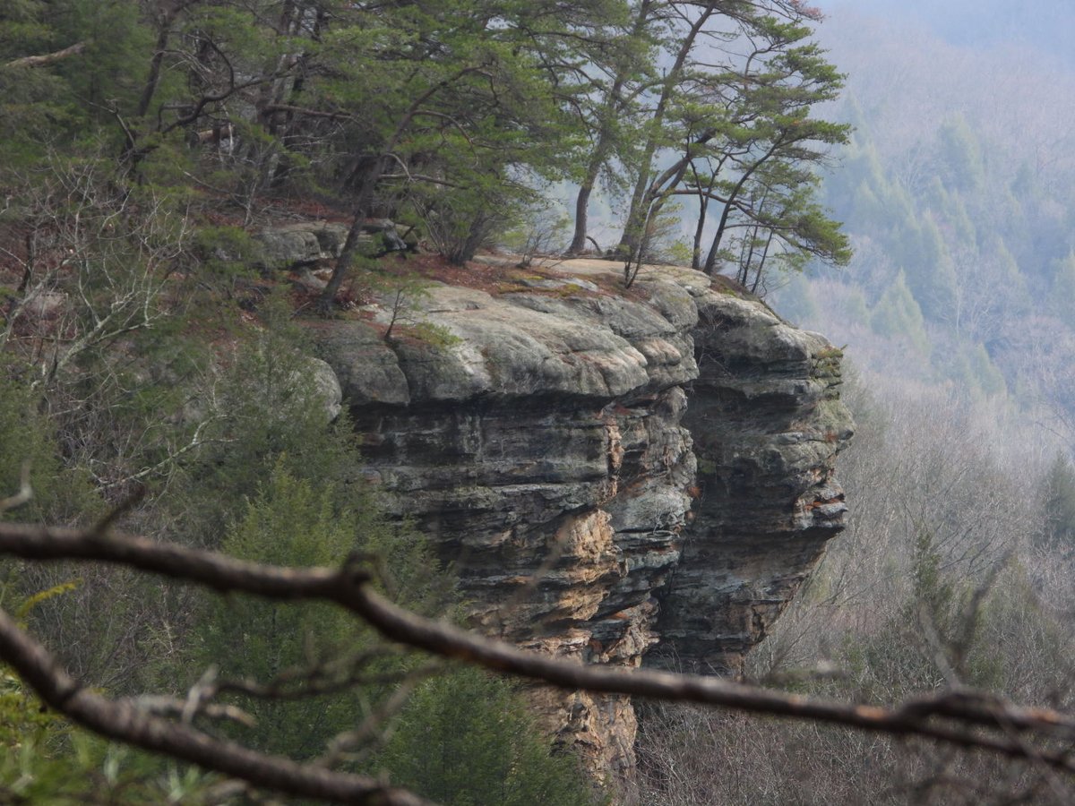 teresaholmes351's tweet image. I am so embarrassed to admit this but it took me 65 years to appreciate the high you can get from nature. Share your nature high. #NatureLovers #fallfriday