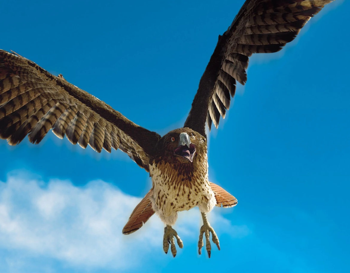 Lukiethewesly13 tweet media