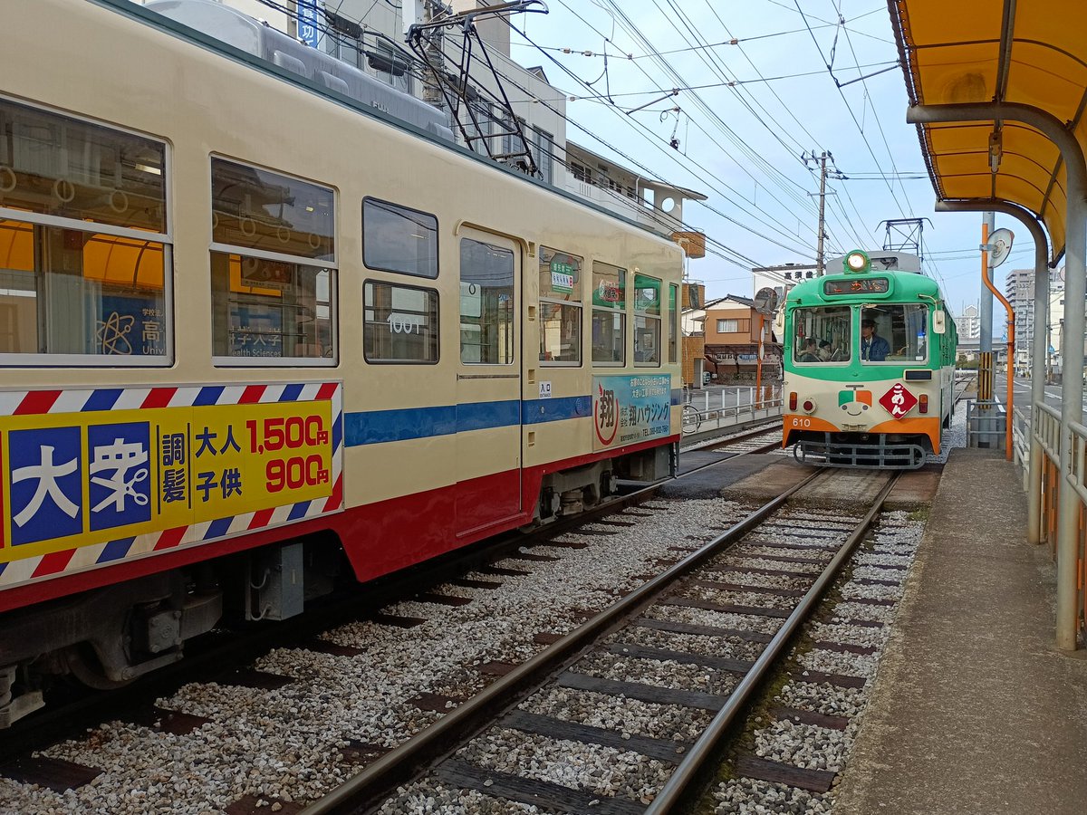 西花マキ (@switchback87) / Posts / X