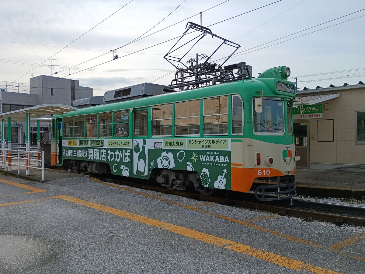 西花マキ (@switchback87) / Posts / X