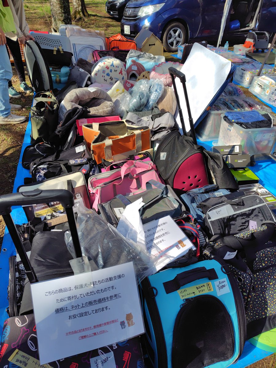 ちばわん(犬猫保護) tweet media