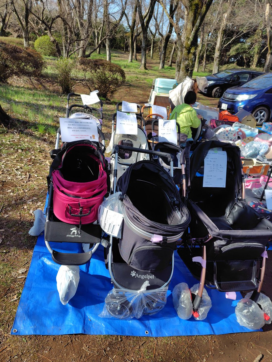 ちばわん(犬猫保護) tweet media