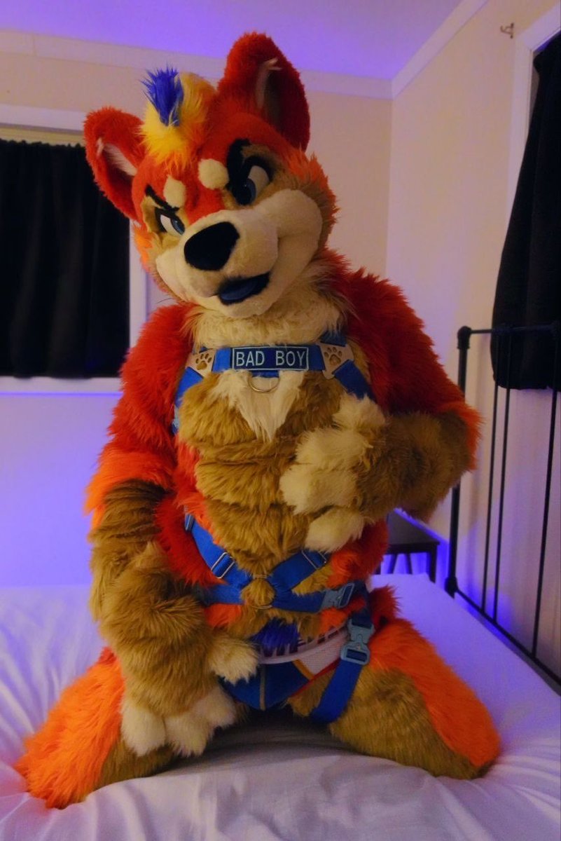 🔥Flamin’ Hot Doggo🔥 tweet media